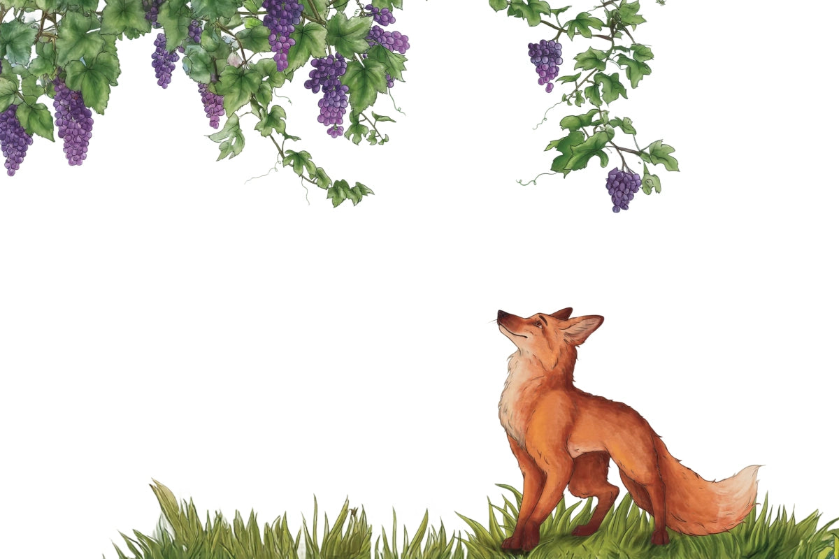 Illustration of a fox standing on grass with grapevines above