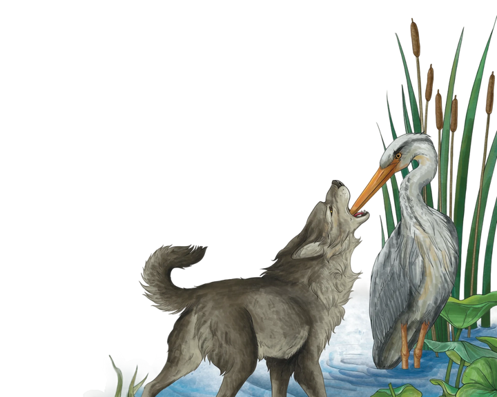 Wolf and heron interacting in a natural setting with water and plants.