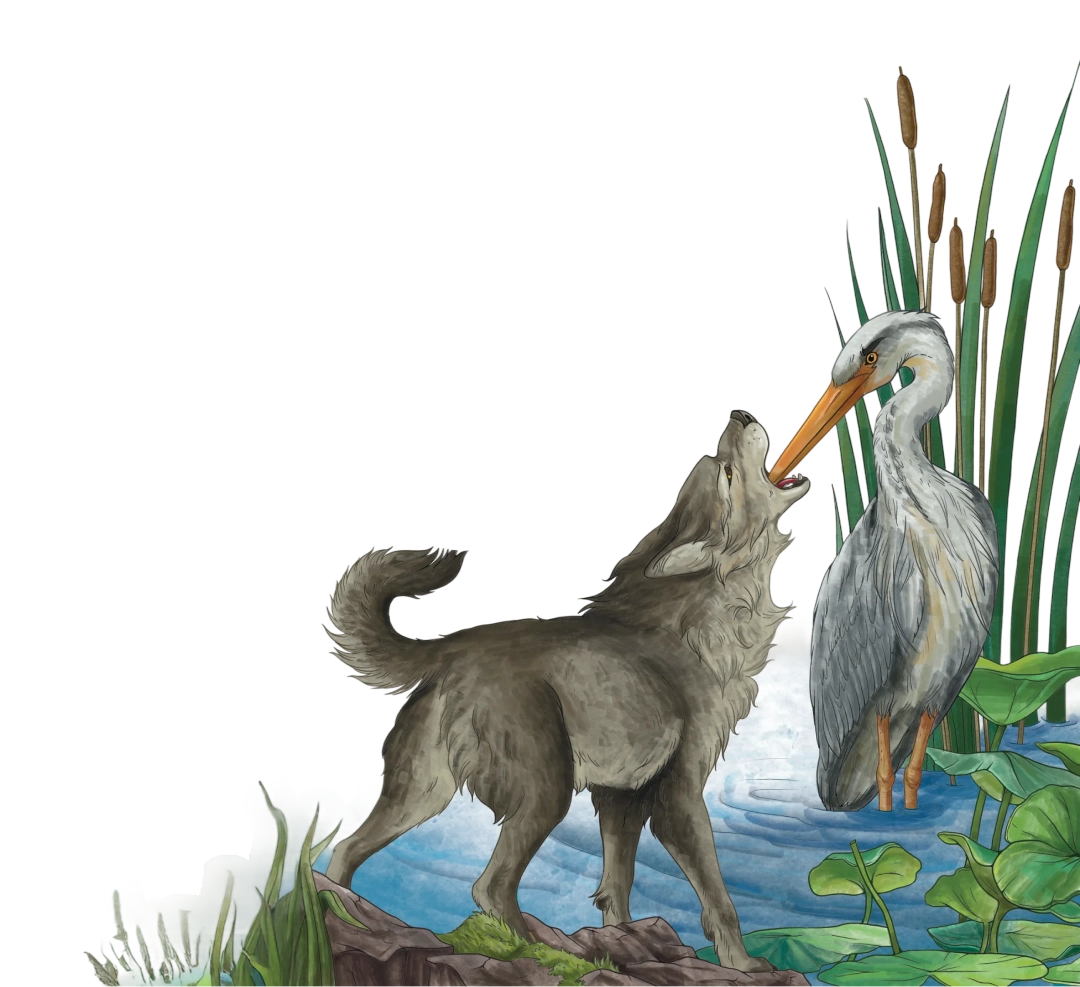 A Stalk helping a wolf